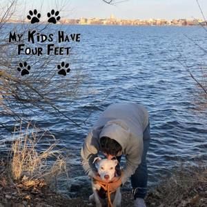 Meet your Posher, Leo